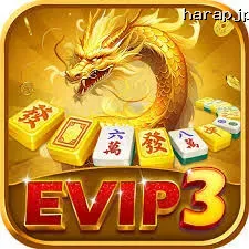 Ikon evip3